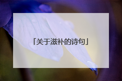 关于滋补的诗句