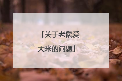 关于老鼠爱大米的问题