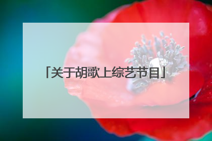 关于胡歌上综艺节目