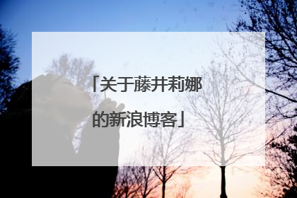 关于藤井莉娜的新浪博客