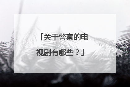 关于警察的电视剧有哪些？