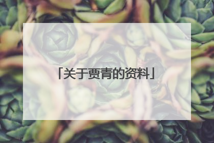 关于贾青的资料