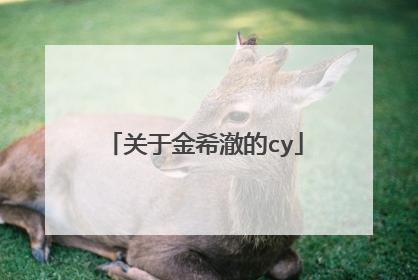 关于金希澈的cy