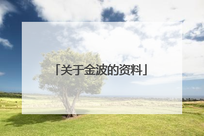 关于金波的资料