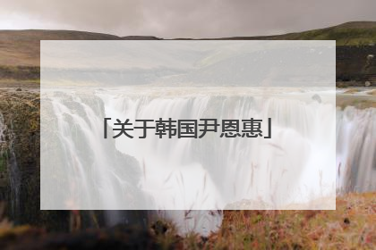 关于韩国尹恩惠
