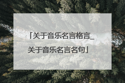 关于音乐名言格言_关于音乐名言名句