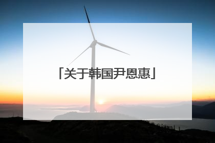 关于韩国尹恩惠