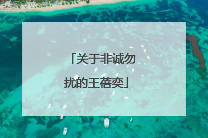 关于非诚勿扰的王蓓奕