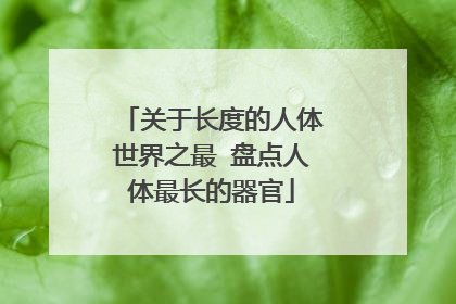 关于长度的人体世界之最 盘点人体最长的器官