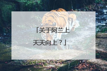 关于阿兰上天天向上？