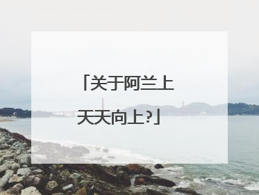 关于阿兰上天天向上?