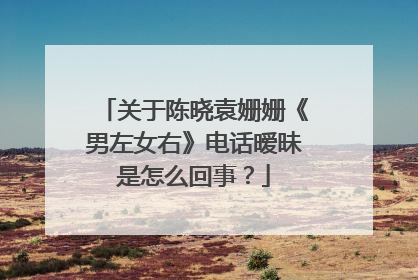 关于陈晓袁姗姗《男左女右》电话暧昧是怎么回事?
