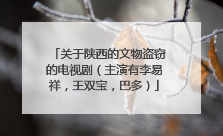 关于陕西的文物盗窃的电视剧（主演有李易祥，王双宝，巴多）