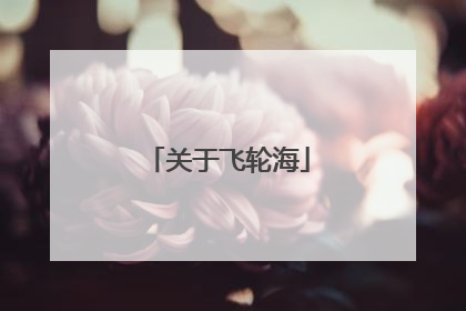 关于飞轮海