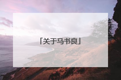 关于马书良