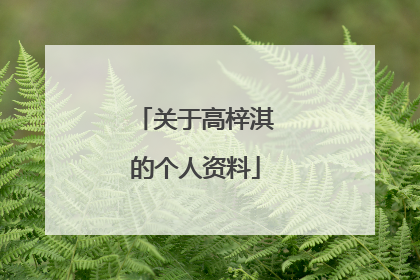 关于高梓淇的个人资料