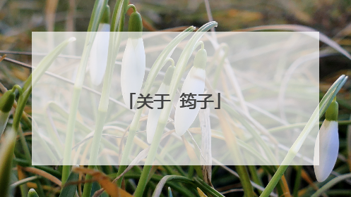 关于 筠子