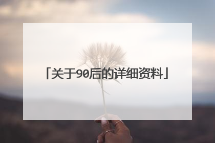 关于90后的详细资料
