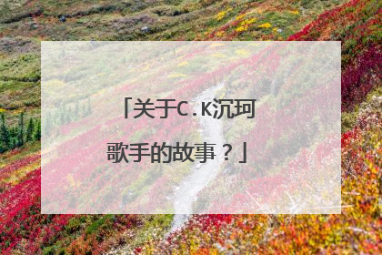 关于C.K沉珂歌手的故事？