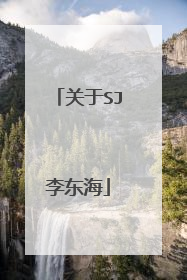 关于SJ李东海