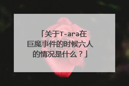 关于T-ara在巨魔事件的时候六人的情况是什么?