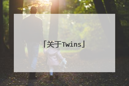 关于Twins