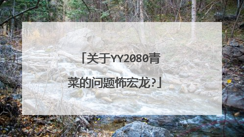 关于YY2080青菜的问题怖宏龙?