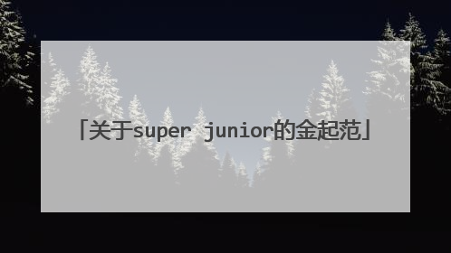关于super junior的金起范