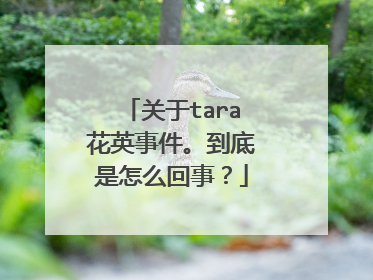 关于tara花英事件。到底是怎么回事？