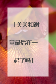 关关和谢童最后在一起了吗