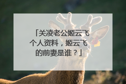 关凌老公姬云飞个人资料,姬云飞的前妻是谁?