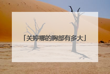 关婷娜的胸部有多大