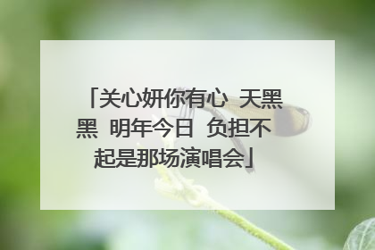 关心妍你有心 天黑黑 明年今日 负担不起是那场演唱会