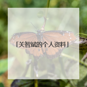 关智斌的个人资料