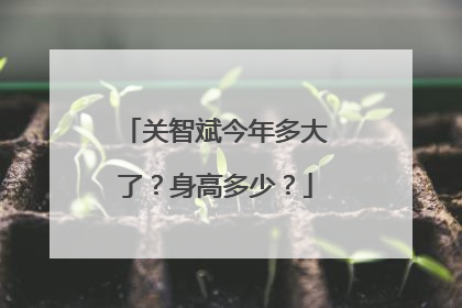 关智斌今年多大了?身高多少?