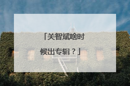 关智斌啥时候出专辑？