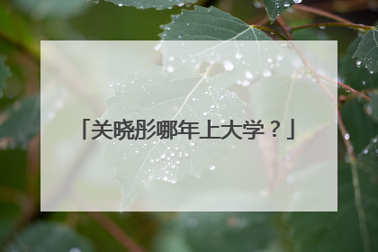 关晓彤哪年上大学?