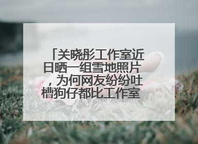 关晓彤工作室近日晒一组雪地照片，为何网友纷纷吐槽狗仔都比工作室拍得好？