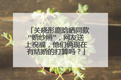 关晓彤鹿晗晒同款“婚纱照”，网友送上祝福，他们俩现在有结婚的打算吗？