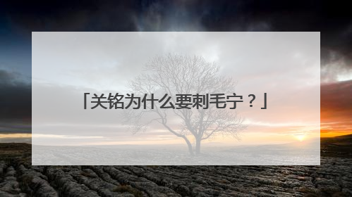 关铭为什么要刺毛宁？