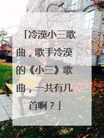 冷漠小三歌曲,歌手冷漠的《小三》歌曲,一共有几首啊?