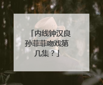 内线钟汉良孙菲菲吻戏第几集?