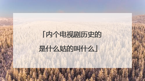 内个电视剧历史的是什么姑的叫什么