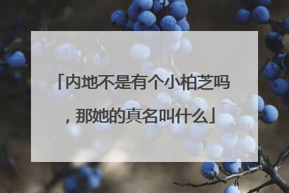 内地不是有个小柏芝吗,那她的真名叫什么
