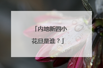 内地新四小花旦是谁？