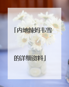 内地辣妈韦雪的详细资料