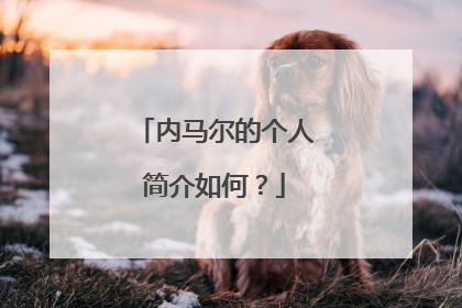 内马尔的个人简介如何?