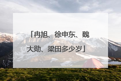冉旭、徐申东、魏大勋、梁田多少岁
