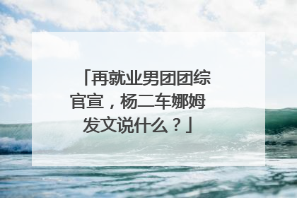 再就业男团团综官宣，杨二车娜姆发文说什么？
