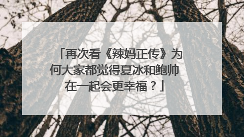 再次看《辣妈正传》为何大家都觉得夏冰和鲍帅在一起会更幸福?